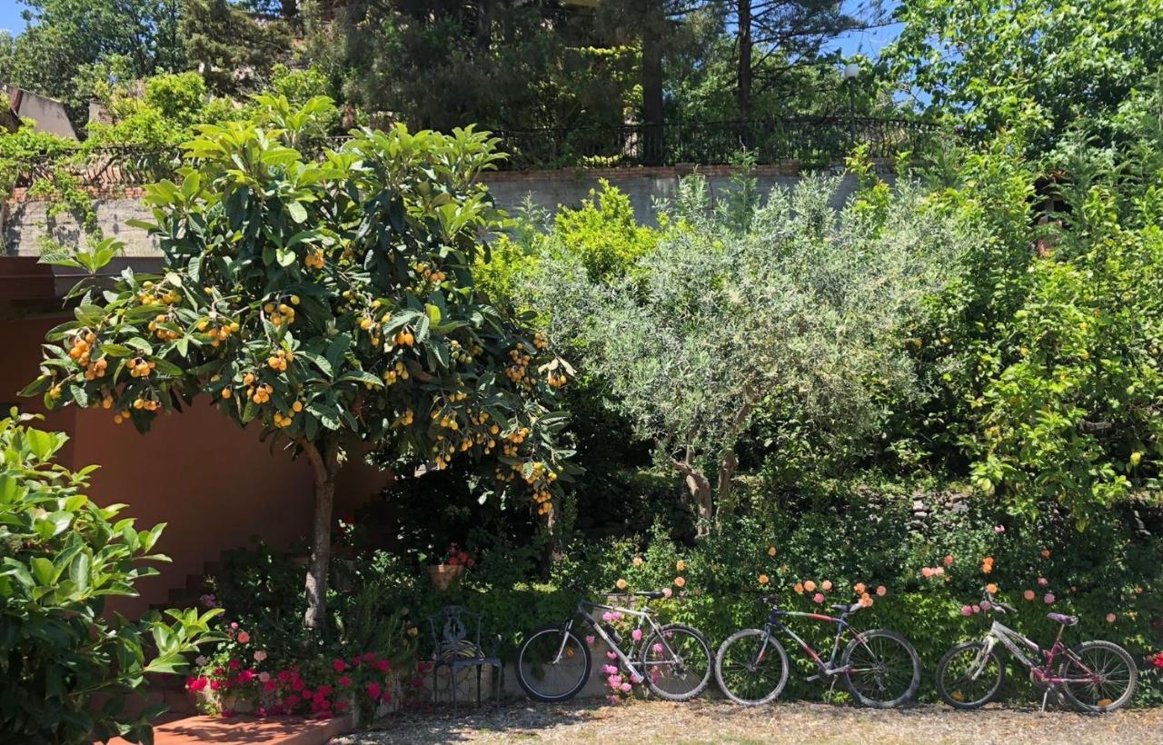 فيلا Casa Marietta فورتْسا داغْرو المظهر الخارجي الصورة